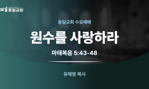 260729_수요