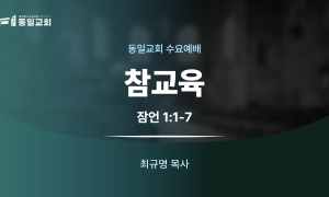 260826_수요