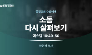 260902_수요